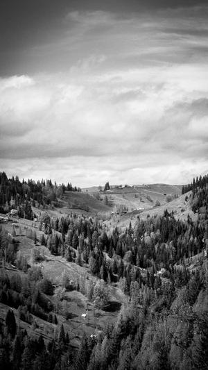 三门峡网站建设截图2