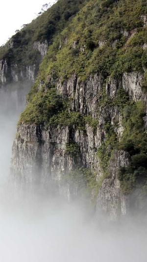 桂林网站建设截图4