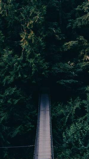 番禺网站建设截图3