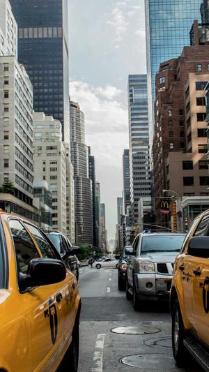 老铁蜘蛛池截图5