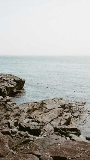 学习seo有用吗截图3