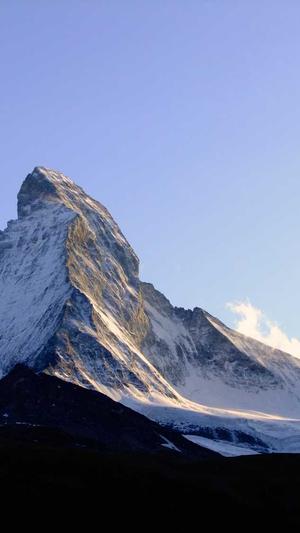 超级蜘蛛池怎样做截图3