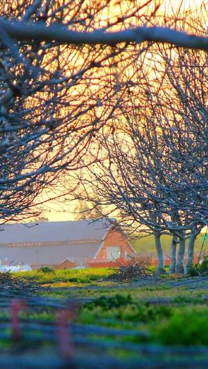 seo排名优化工具推荐截图5