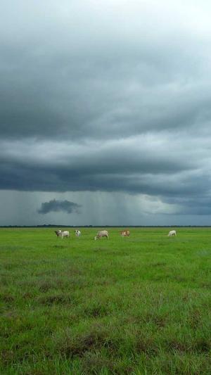 小旋风蜘蛛池教程攻略截图2