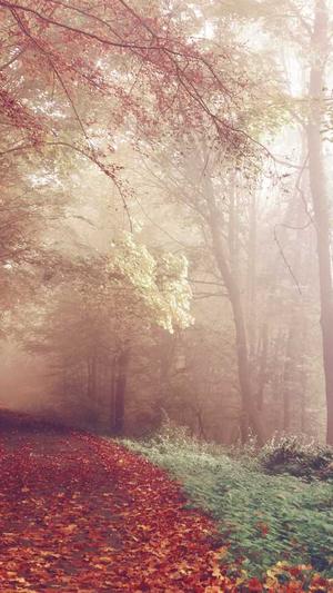 现在的蜘蛛池有用吗截图4