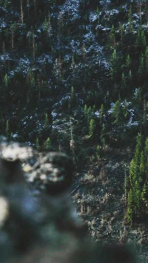 网站seo优化诊断工具截图1