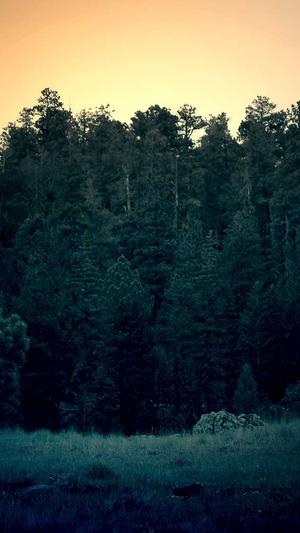 长春网站seo截图3