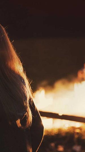 装饰公司网站建设截图3