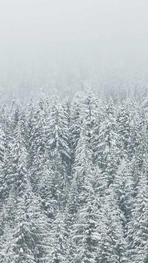 seo刷关键词排名优化截图3