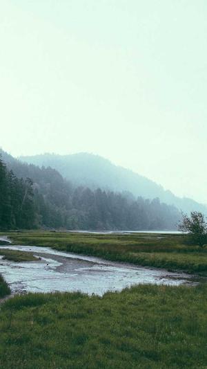 龙岩网站建设截图2