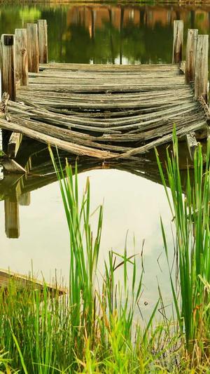 SEO工具不包括截图3