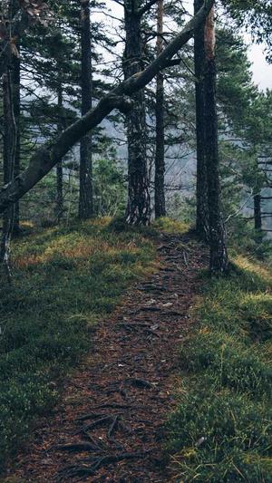 蜘蛛池对新站有用吗截图3