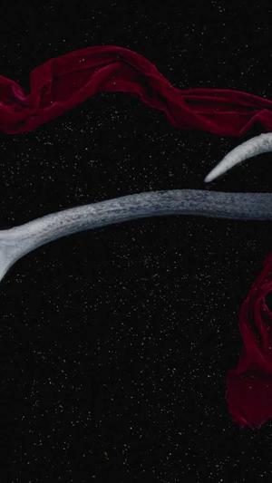 网站建设培训截图2