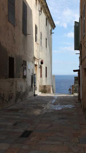 在线seo工具截图1