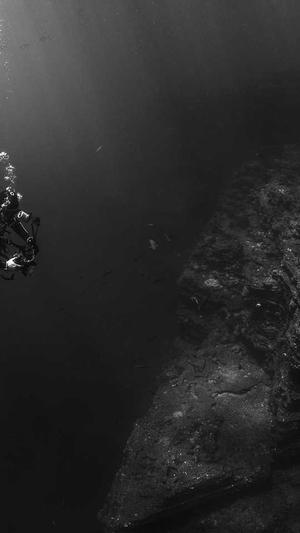 保定seo推广工具截图4