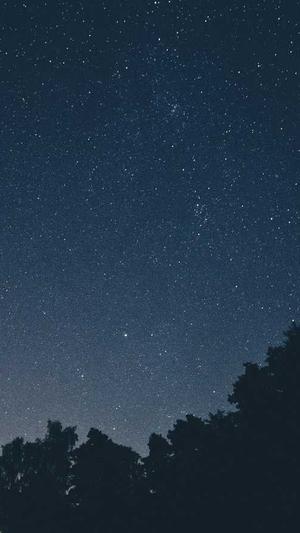 seo优化工具98免费截图1