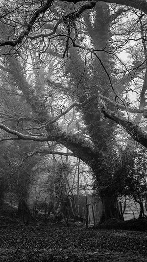 蜘蛛池新手入门关键词截图5