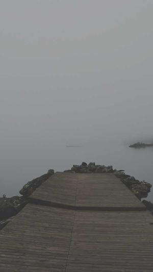 seo有哪些优化工具截图1