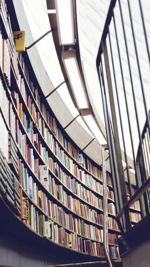 网络seo优化工具截图1