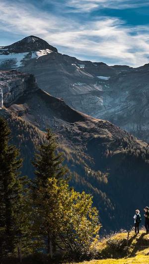 seo网站排名优化工具截图1