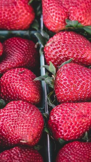 seo图片优化截图2