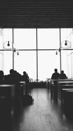 蜘蛛池出租代理截图4