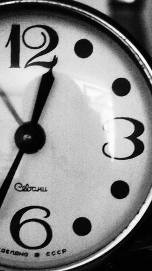 权重蜘蛛池怎么做截图2