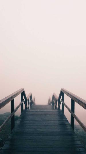 陕西头条蜘蛛池租用截图1