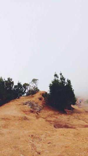 蜘蛛池新手入门关键词截图2