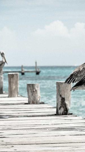 拉萨seo优化截图2