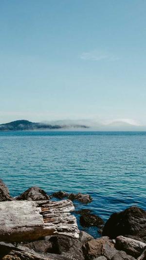 高端 网站建设截图2