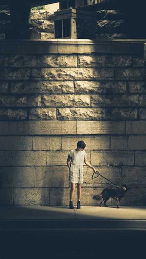 SEO工具优化软件截图4