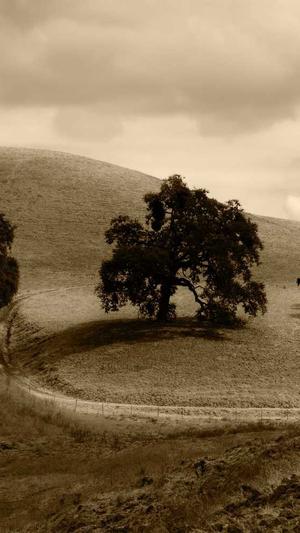 长春网站seo截图4